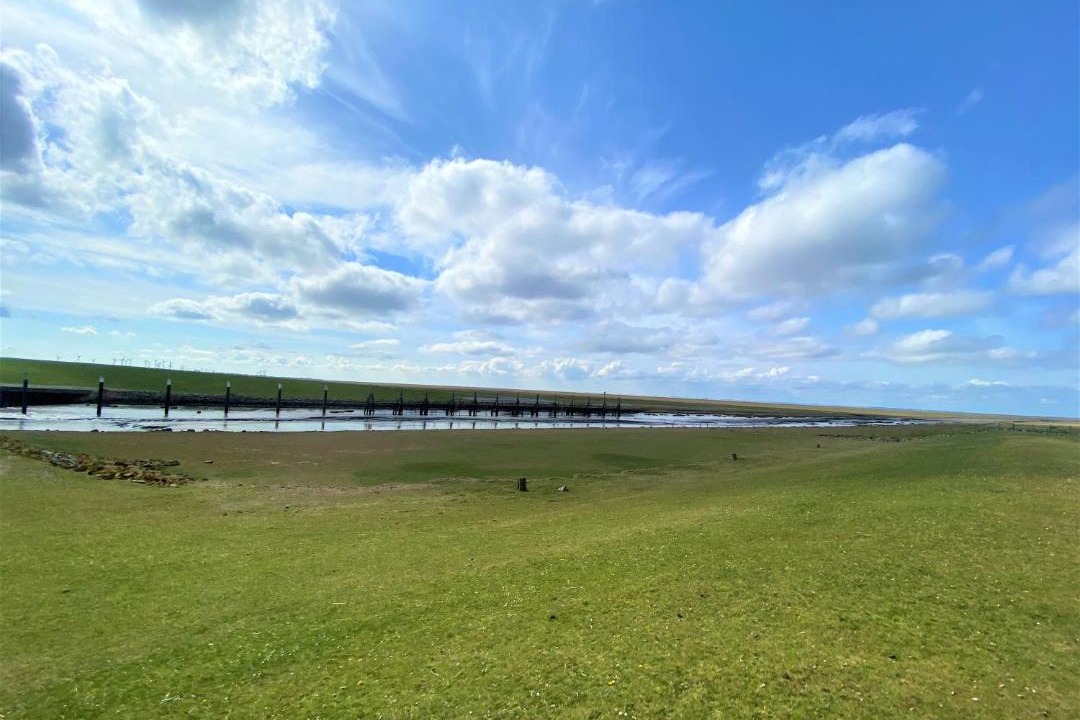 Photo of Others in Friedrichskoog