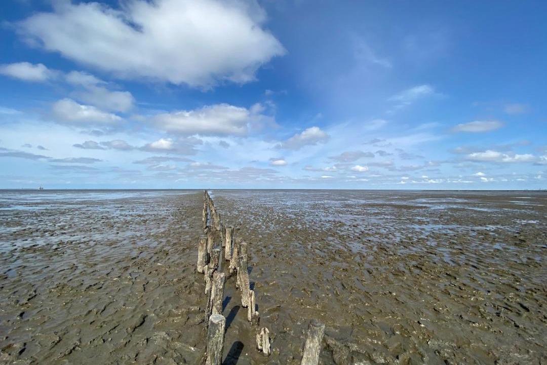 Photo of Others in Friedrichskoog