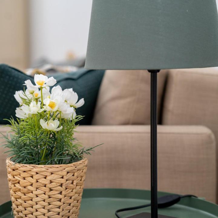 Photo of Livingroom in Ensanche Centro