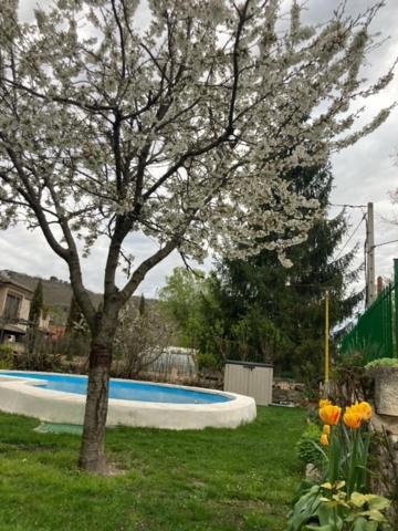Photo of Outdoor in Caspuenas