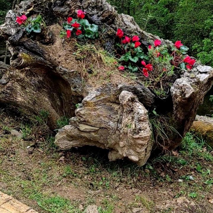 Photo of Outdoor in Sopuerta