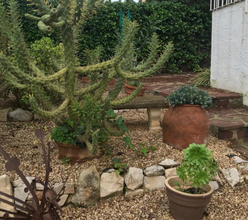 Photo of Patio Balcony in El Tosalet