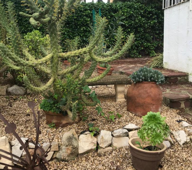 Photo of Patio Balcony in El Tosalet