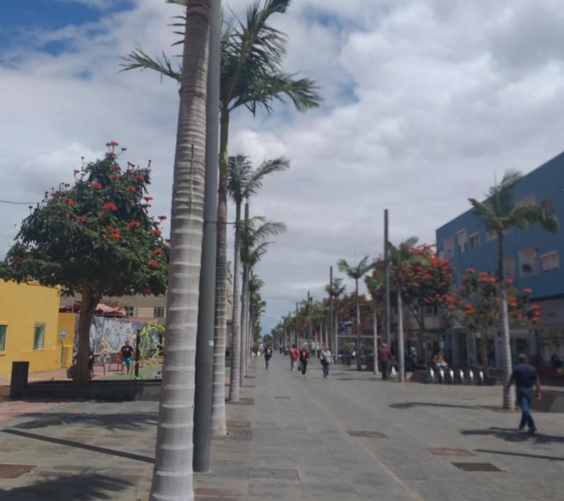 Photo of Others in Vecindario