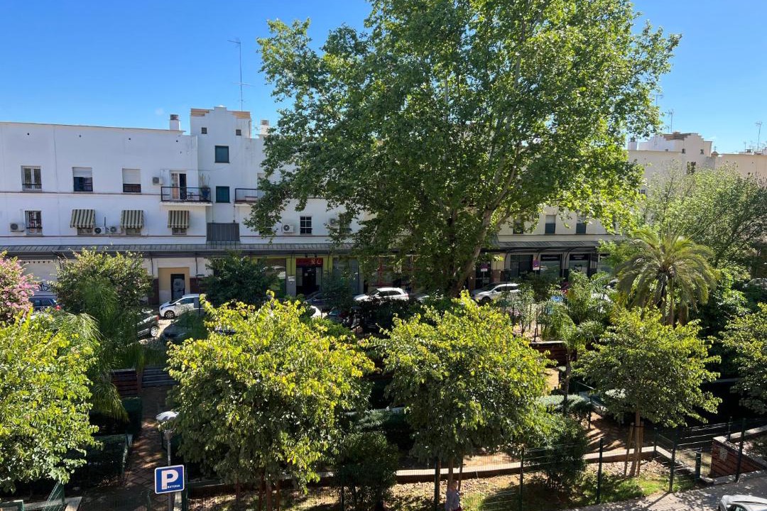 Photo of Others in Triana