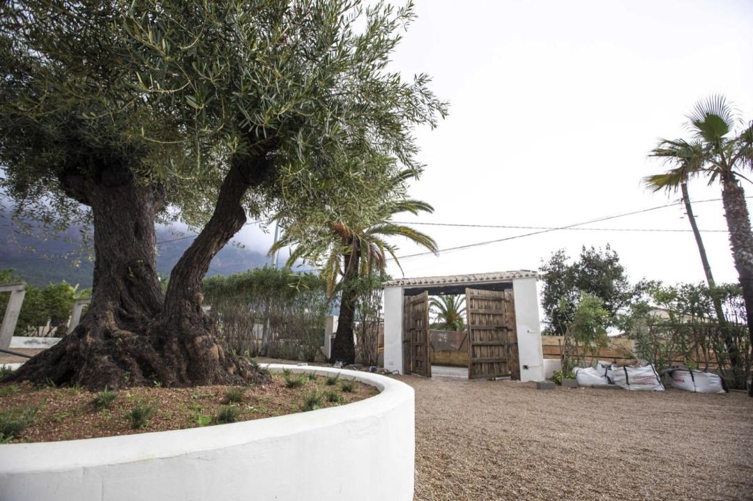 Photo of Others in Montgo de Toscamar