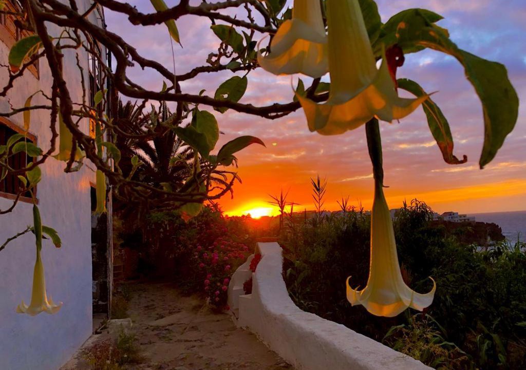 Photo of Outdoor in Las Aguas