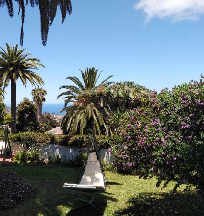 Photo of Outdoor in La Orotava