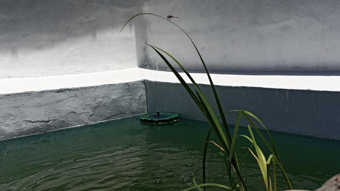 Photo of Others in Las Aguas