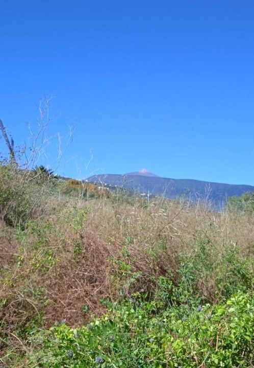 Photo of Outdoor in La Orotava