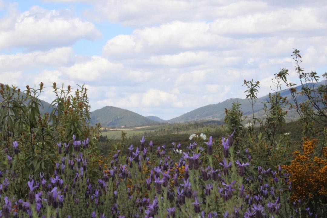 Photo of Outdoor in La Codosera