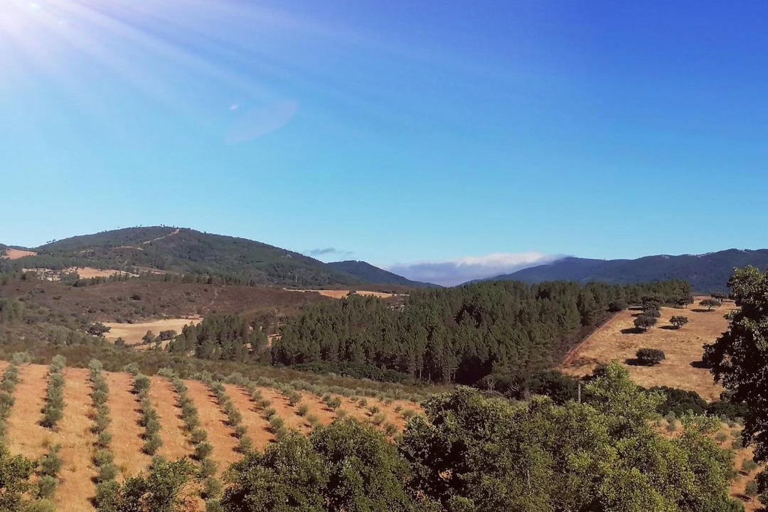 Photo of Outdoor in La Codosera