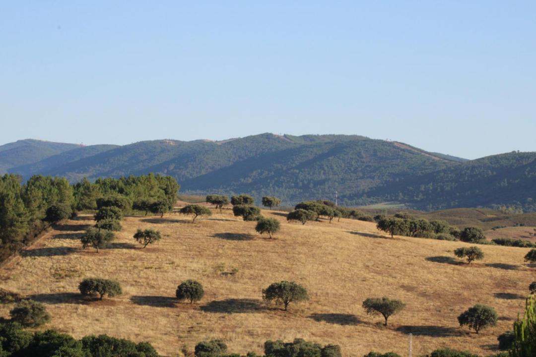 Photo of Outdoor in La Codosera