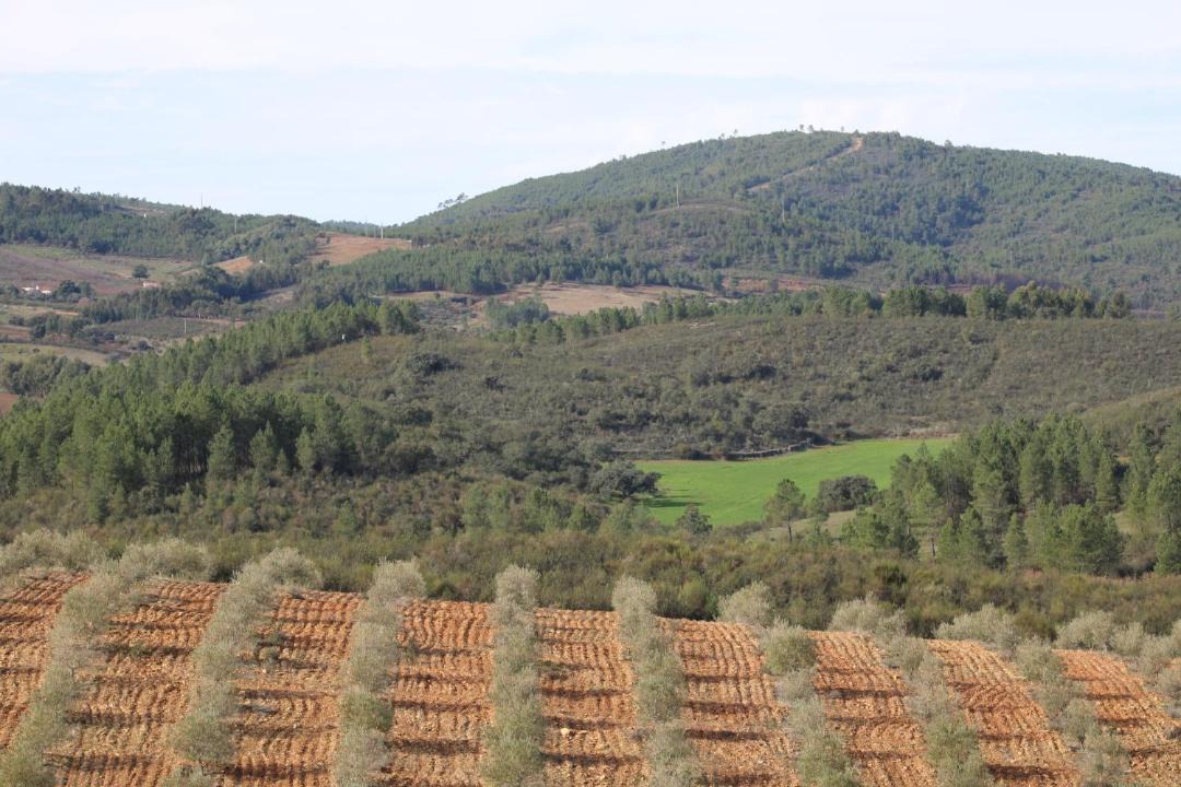 Photo of Outdoor in La Codosera