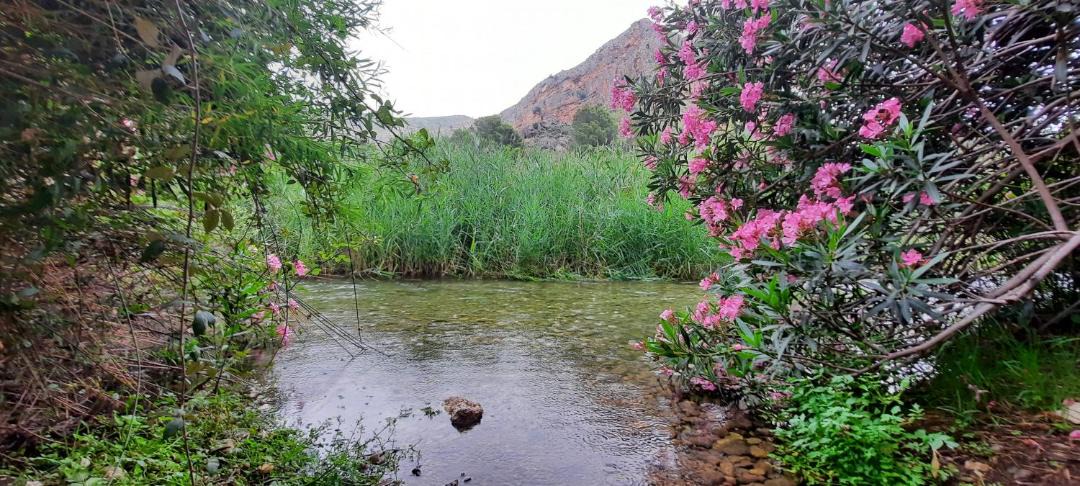 Photo of Outdoor in Gestalgar