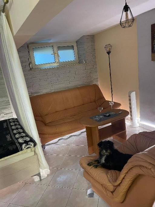Photo of Livingroom in Kleparz