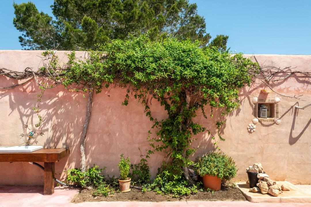 Photo of Others in Formentera