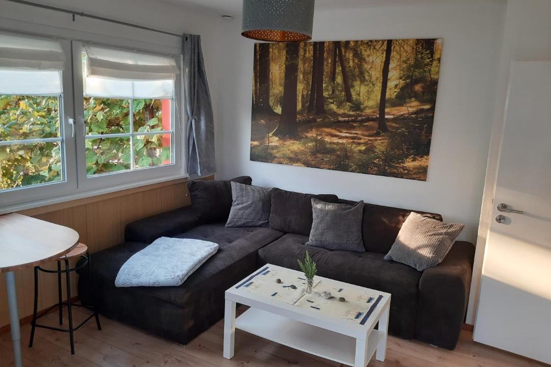 Photo of Livingroom in Kleinwaabs
