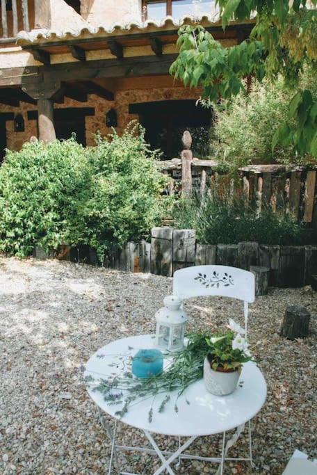 Photo of Others in El Olivar