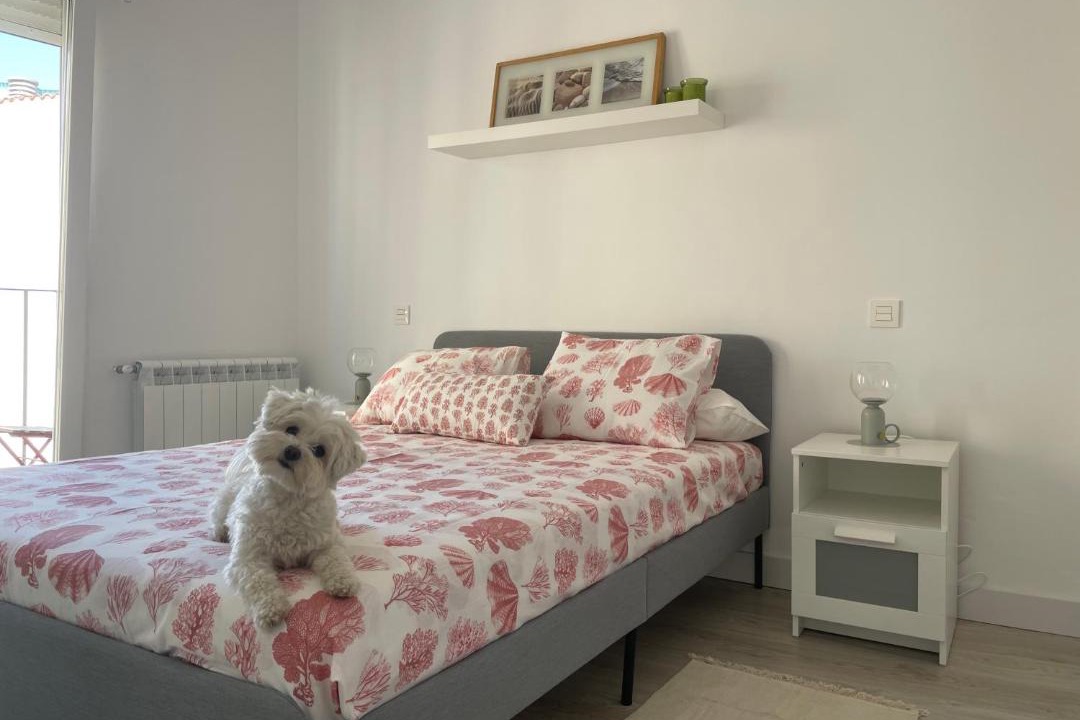 Photo of Bedroom in Zamora