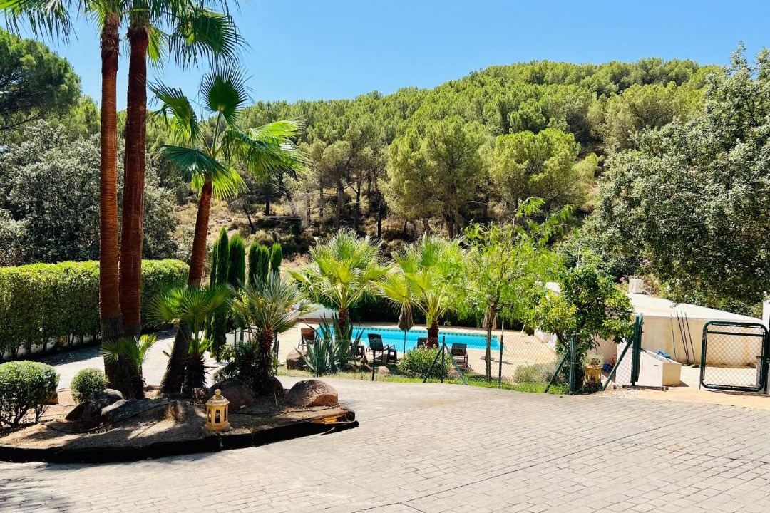 Photo of Others in Las Jaras