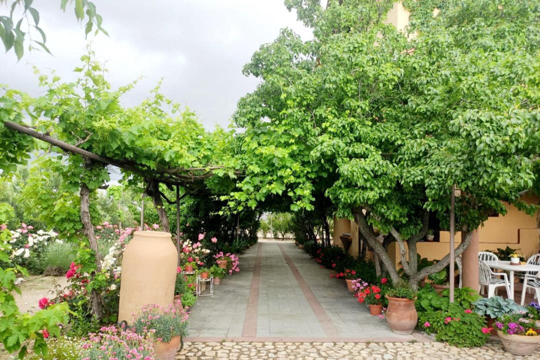 Photo of Others in Cuerva