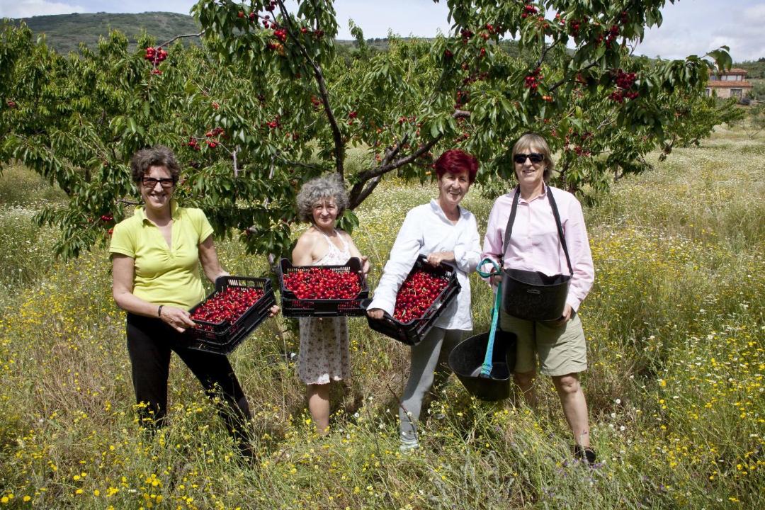 Photo of Others in Acebo