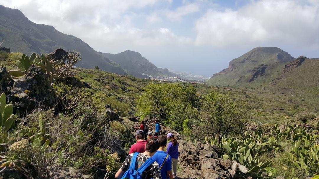 Photo of Others in Tamaimo