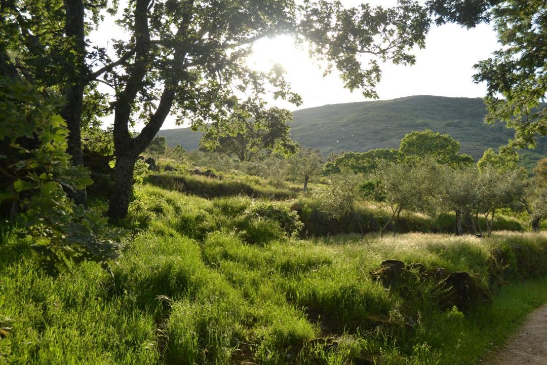 Photo of Outdoor in Acebo