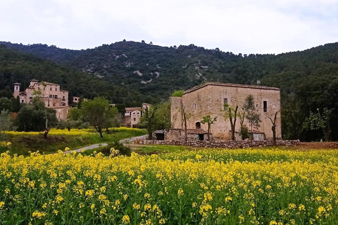 Photo of Buildings in Seguero