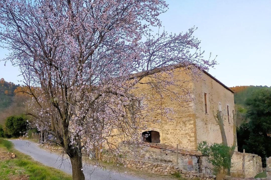 Photo of Buildings in Seguero