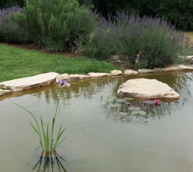 Photo of Outdoor in Condat-sur-Vezere