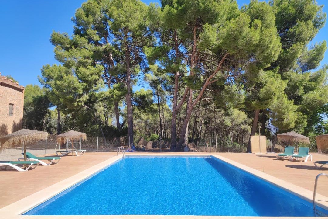 Photo of Outdoor in Altura