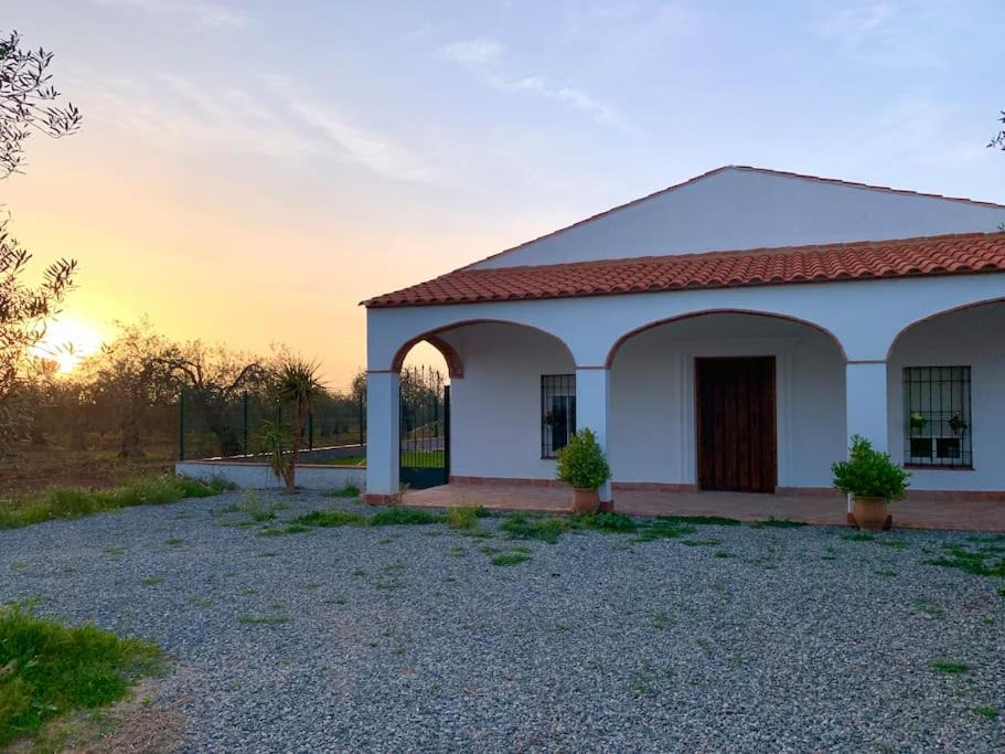 Photo of Buildings in Fuente de Cantos