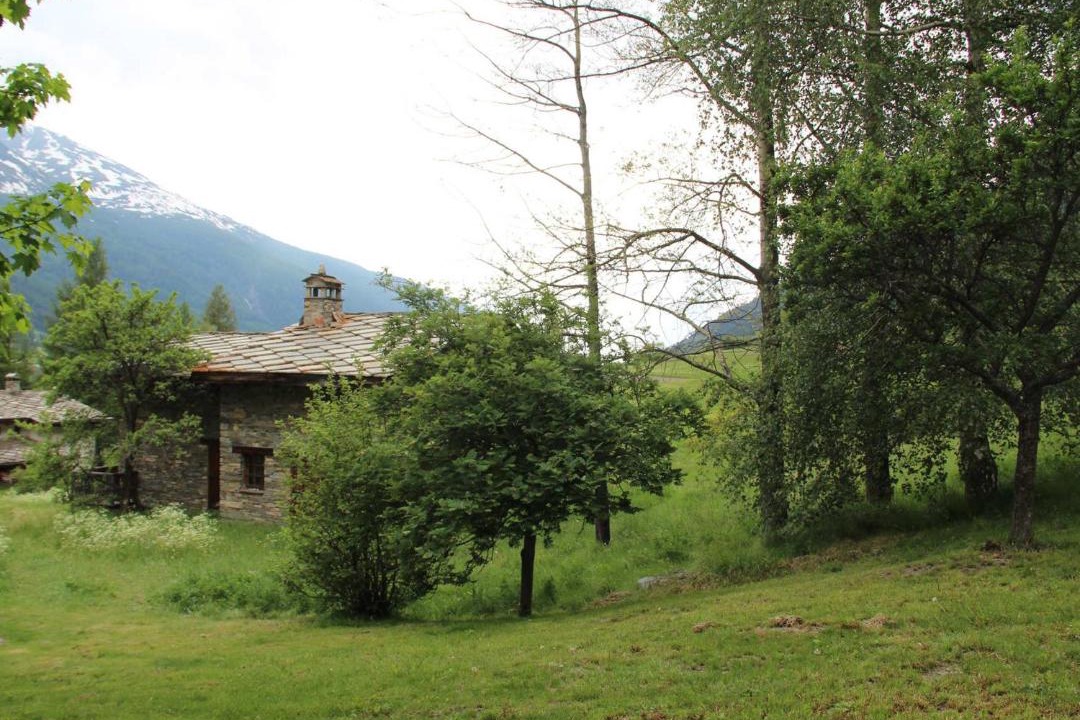 Photo of Others in Lanslevillard