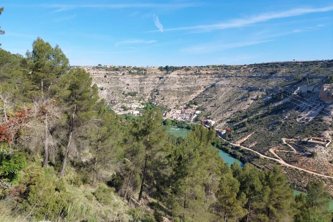 Photo of Others in La Gila