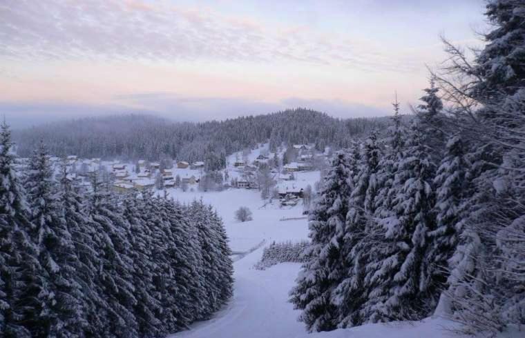 Photo of Outdoor in Morbier