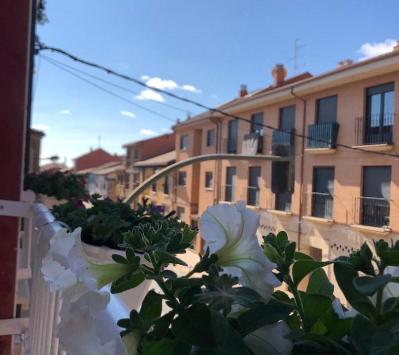 Photo of Others in Sahagun