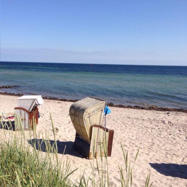 Photo of Others in Niendorf