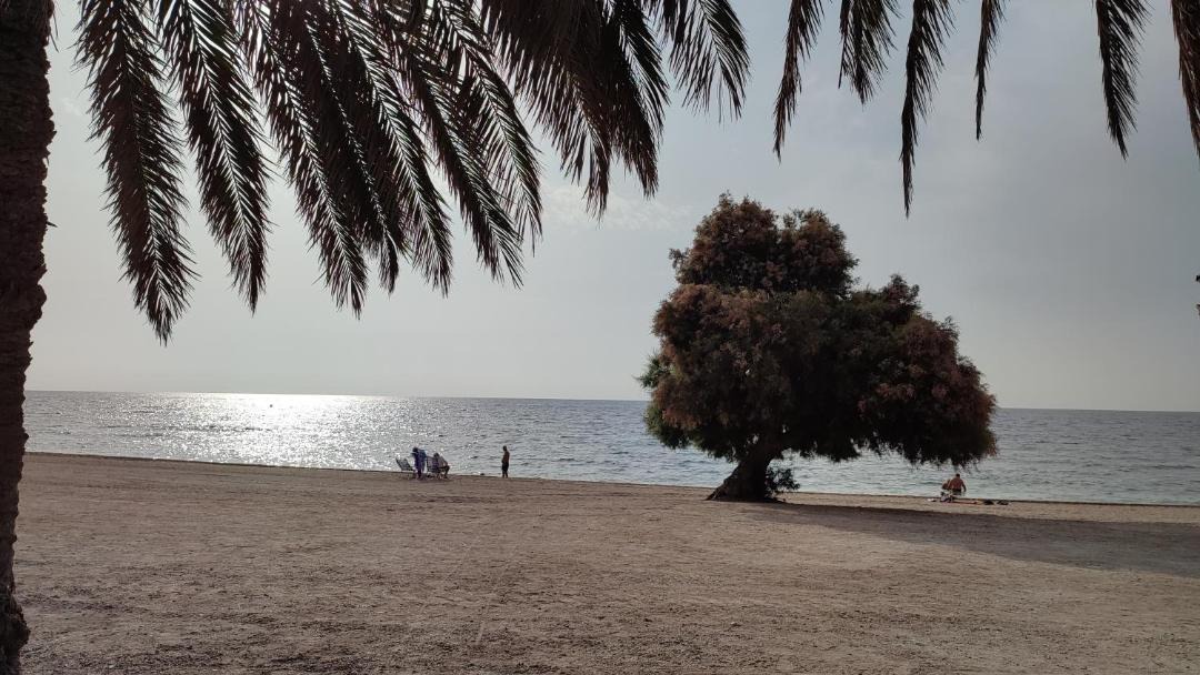 Photo of Others in La Envia