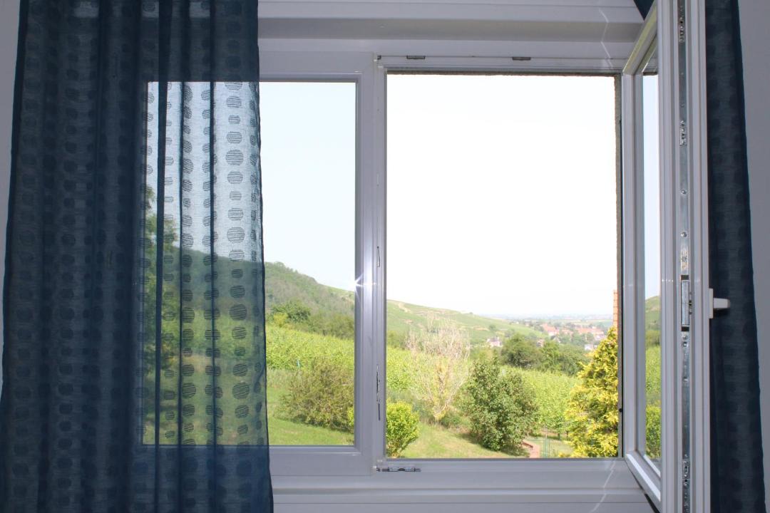 Photo of Others in Wangen