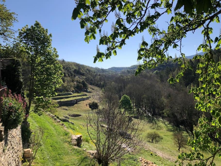 Photo of Others in Saignon