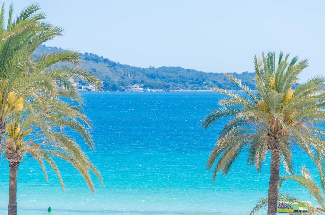 Photo of Outdoor in Alcudia