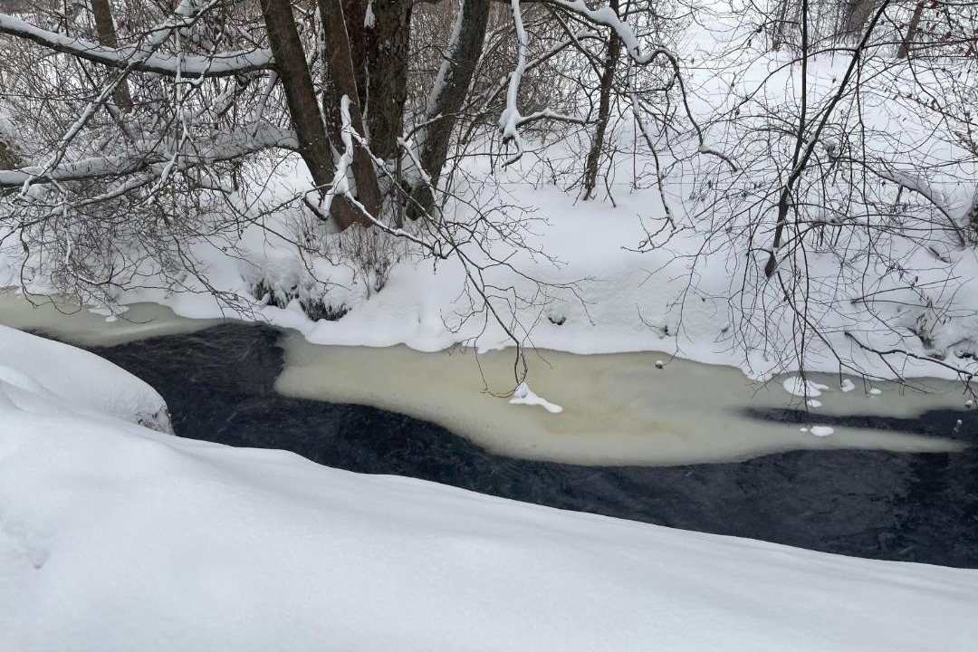Photo of Others in Braunlage