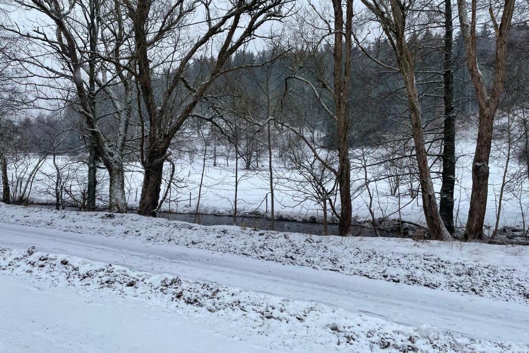 Photo of Others in Braunlage