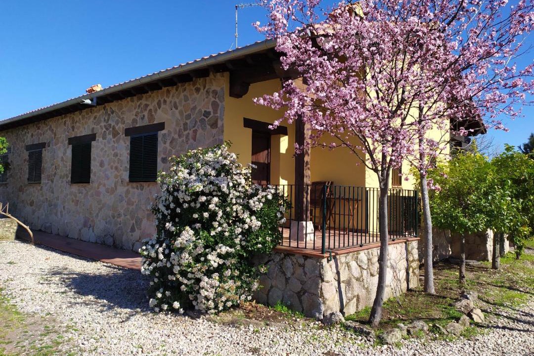 Photo of Others in Cuacos de Yuste