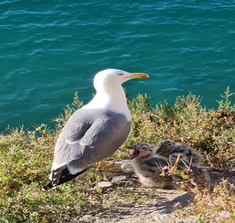 Photo of Others in Rincon de Loix