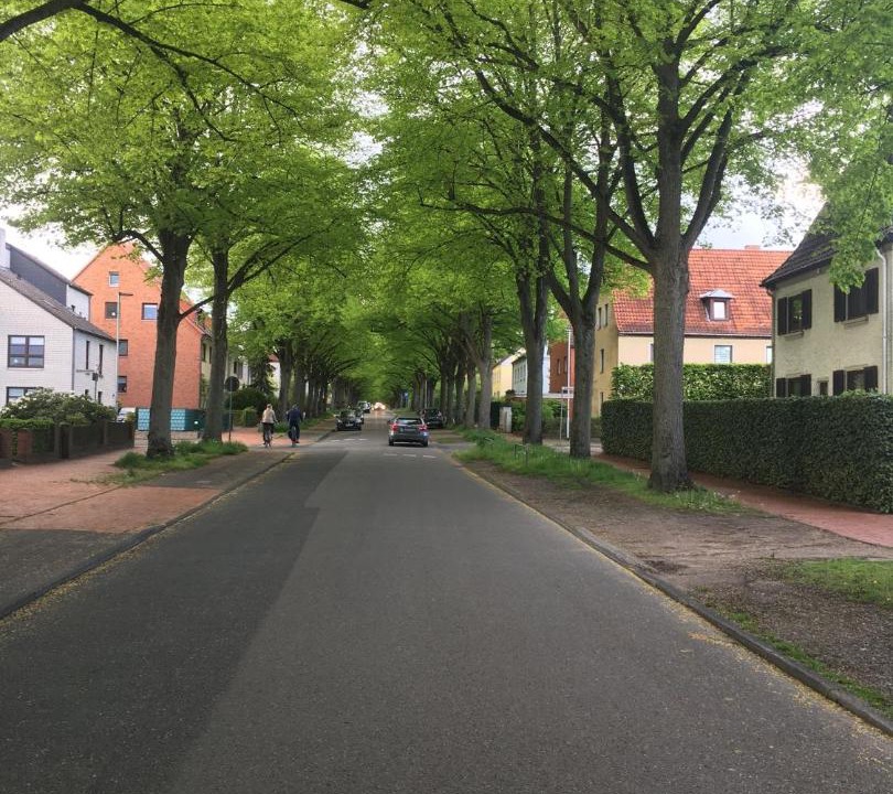 Photo of Buildings in Verden