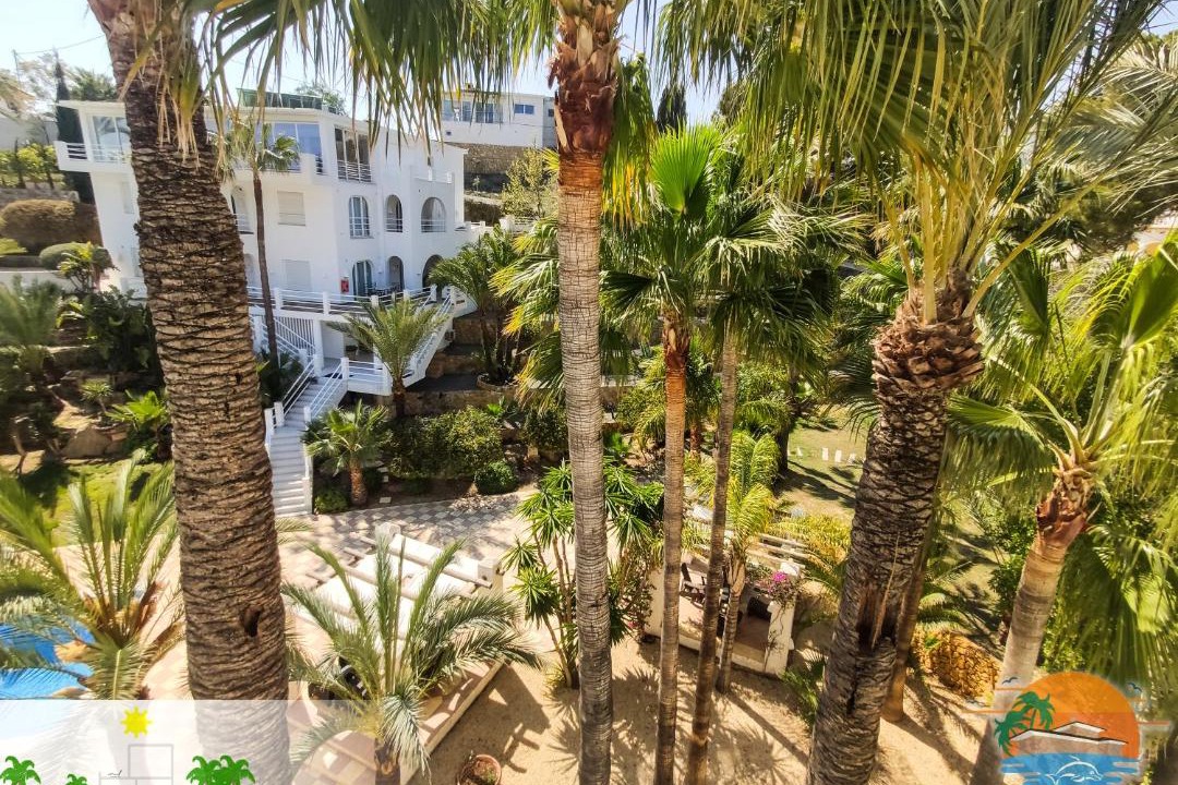 Photo of Others in La Colina