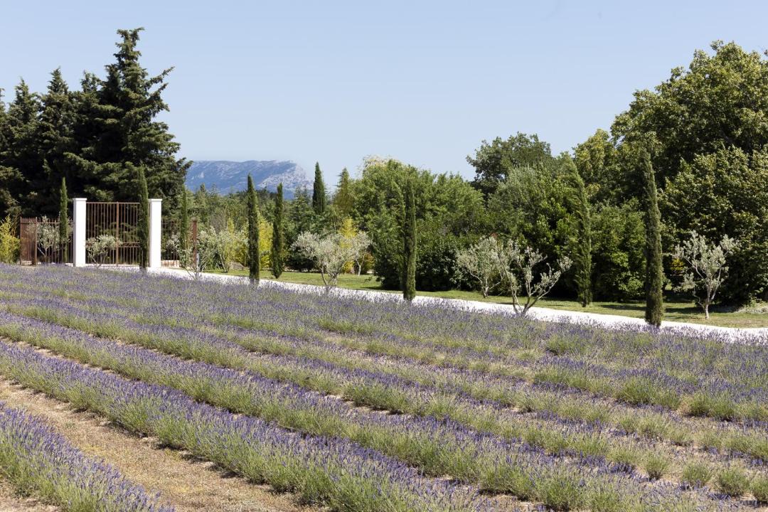 Photo of Others in Aix-en-Provence